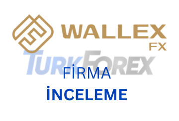 wallex fx inceleme