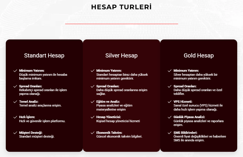 destek global hesap türleri